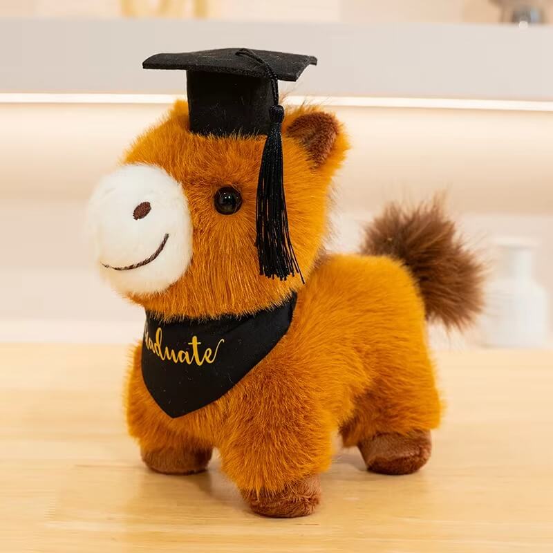 Graduation Plush Gift Collection